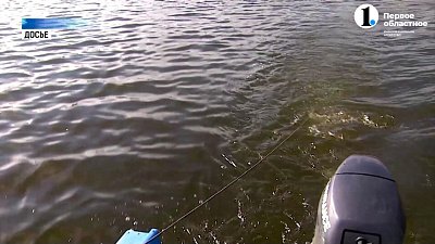 В регионе ввели нерестовый запрет на рыбалку