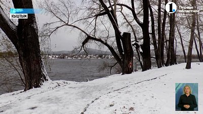 Жители Кыштыма беспокоятся о тополях в парке у Белого Дома