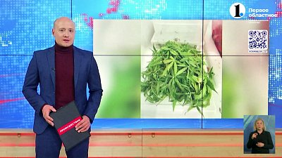 В Снежинске задержали нелегального садовода