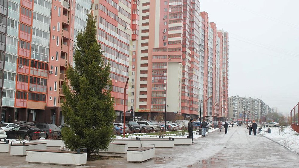 В челябинском сквере к Новому году посадили семиметровую ель