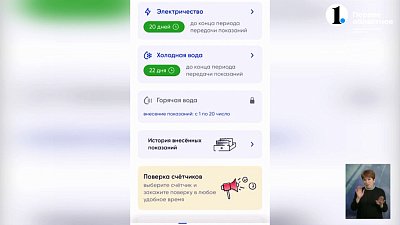 В Челябинске провели пресс-конференцию, посвящённую работе мобильного приложения «Госуслуги.Дом»