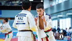 Дзюдоисты Челябинской области завоевали 30 медалей на турнире памяти Петра Сумина