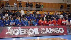 Челябинские самбисты из «Динамо» одержали победу на межрегиональном командном турнире