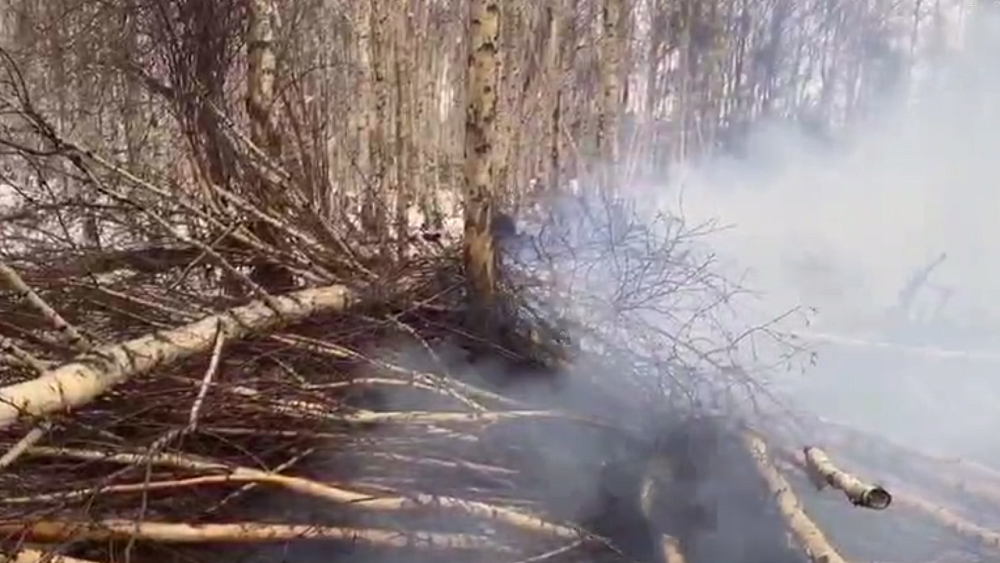 В Каслинском районе горят торфяники