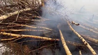 В Каслинском районе местные жители заметили торфяной пожар