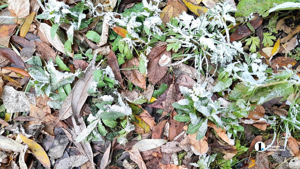 Дожди, изморозь и плюсовую температуру обещают жителям Челябинской области