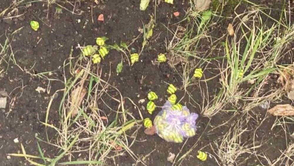 В Челябинске поймали 2 мигрантов-наркодилеров