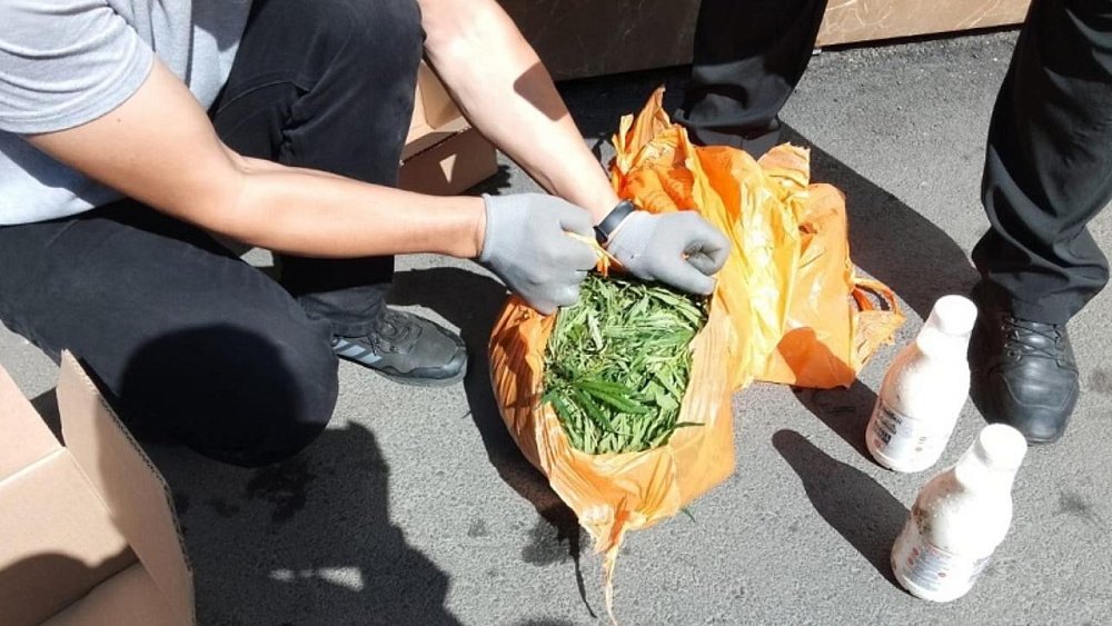 Челябинские полицейские сожгли 100 кг служивших вещдоками наркотиков