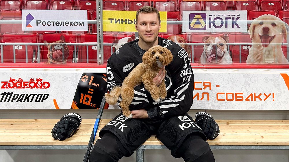 Челябинские хоккеисты будут отправлять в приют 10 кг корма за каждую штрафную минуту