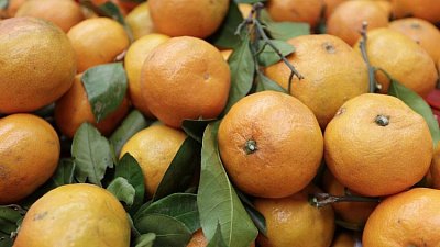 В Челябинскую область ввезено 638 тонн импортных мандаринов