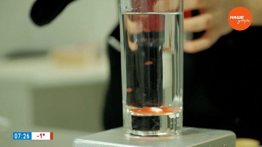 Научный подход к кулинарии в сюжете «Молекулярная кухня»