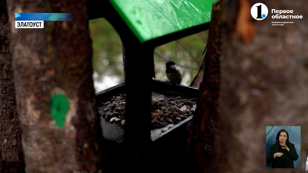 22 кормушки появились в нацпарке «Таганай»