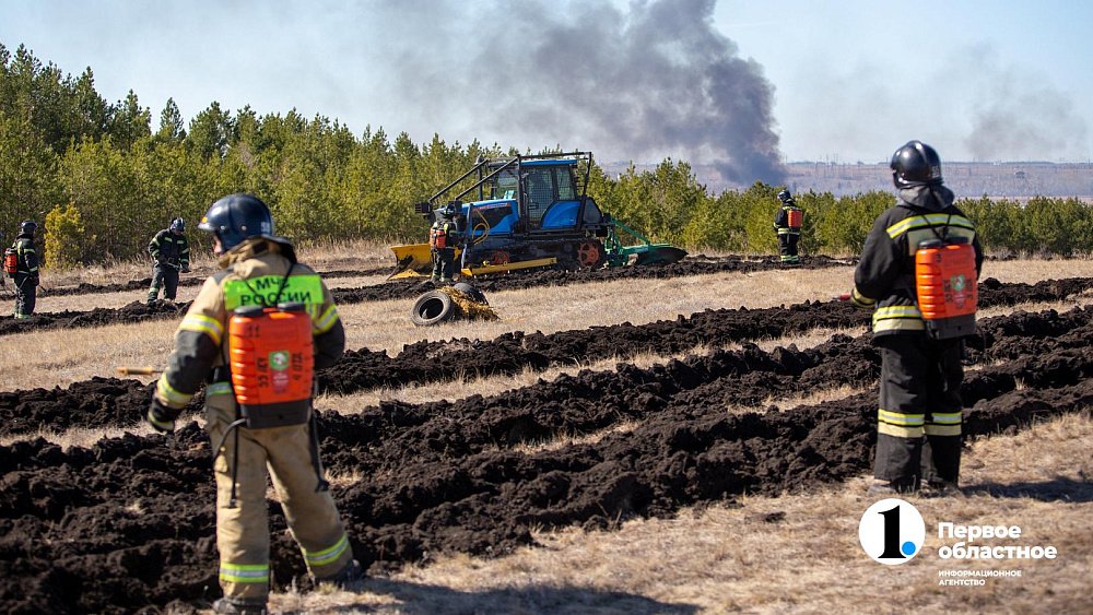 В Челябинской области произошло более 700 лесных пожаров в 2023 году