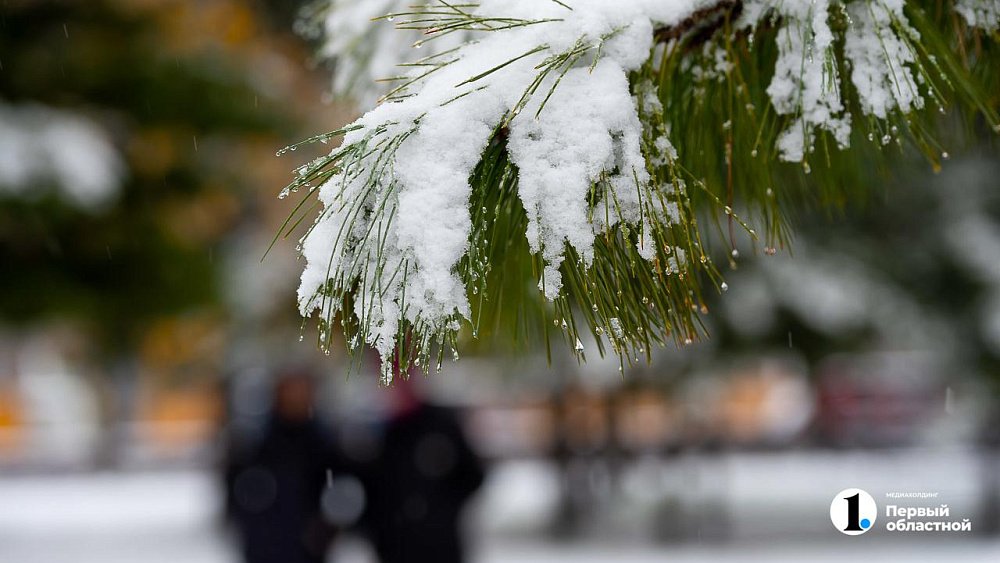 В Челябинской области завершается теплое предзимье
