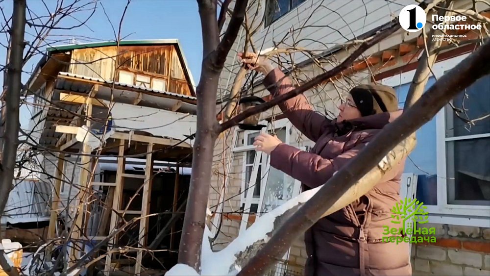 В выпуске программы «Зеленая передача» рассказали, какие работы садоводам необходимо завершить в ноябре