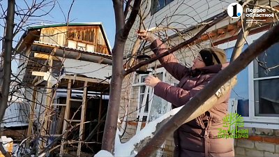 В выпуске программы «Зеленая передача» рассказали, какие работы садоводам необходимо завершить в ноябре