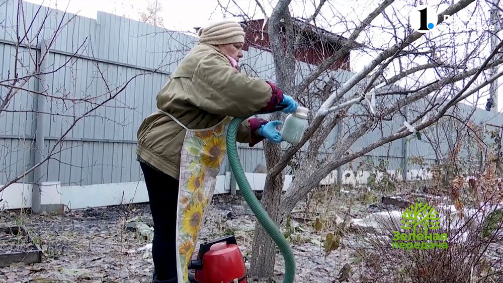 Быстрый, простой и эффективный способ побелки деревьев