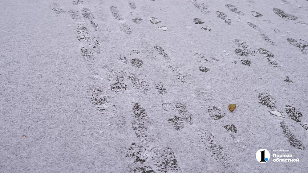 Минусовую температуру, снег и метели прогнозируют в Челябинской области в выходные