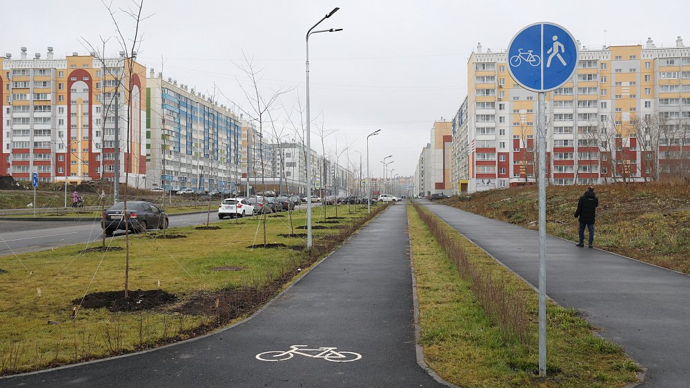 Вдоль челябинских дорог за сезон высадили 2 тысячи деревьев