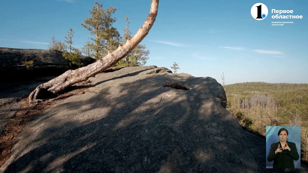 Автор программы ОТВ – в финале областного конкурса!