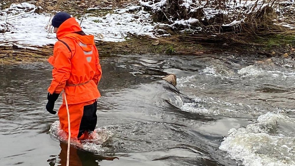 В Златоусте несколько дней разыскивают 87-летнюю женщину
