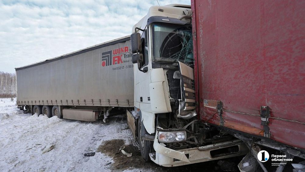 Почти 280 человек погибли в ДТП в Челябинской области за 10 месяцев 2023 года