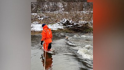 В Златоусте несколько дней ищут пропавшую пенсионерку