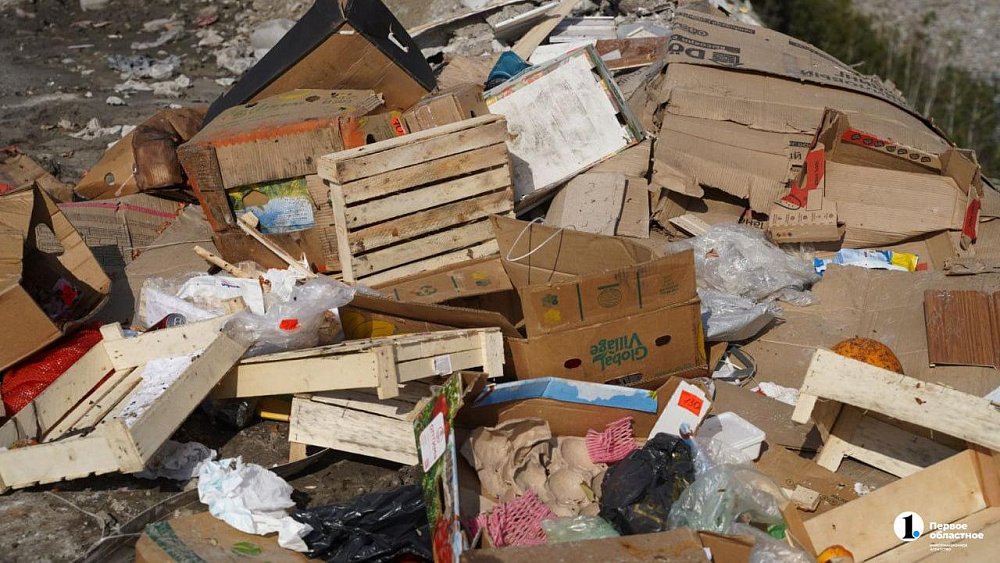 Челябинцев будут штрафовать за несанкционированные свалки