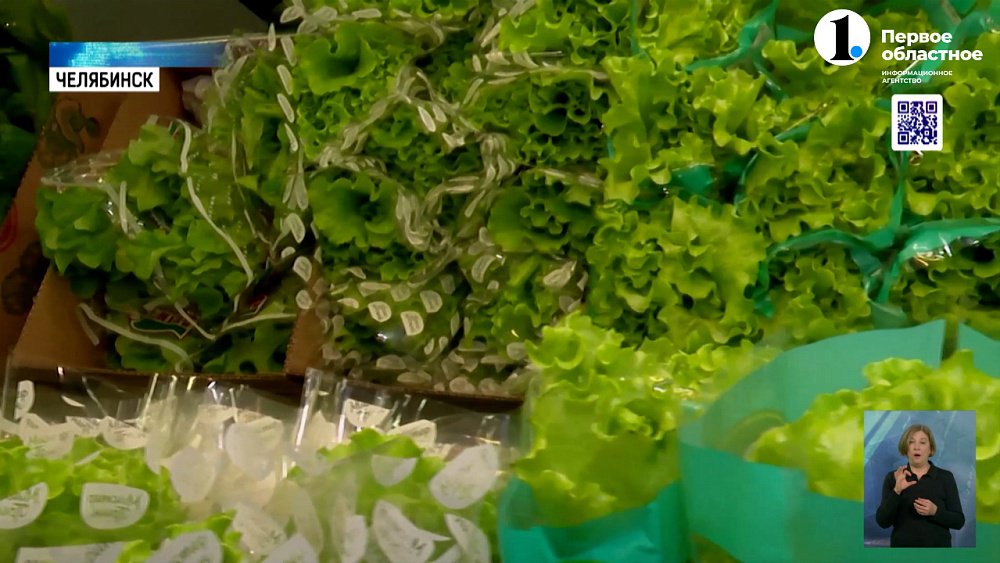 Чем питаться, чтобы стать умным?