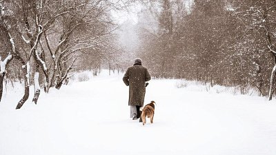 Спасти от деменции способно домашнее животное
