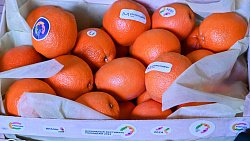 На Кировке устроили танцы в честь Всемирного фестиваля молодежи