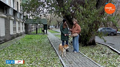 Кинолог рассказывает о дрессировке в сюжете «Воспитание собак»