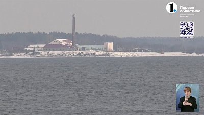 В Снежинске ищут браконьеров