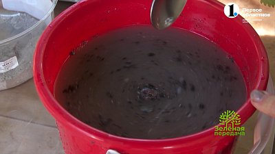 Советы бывалых: как использовать золу?