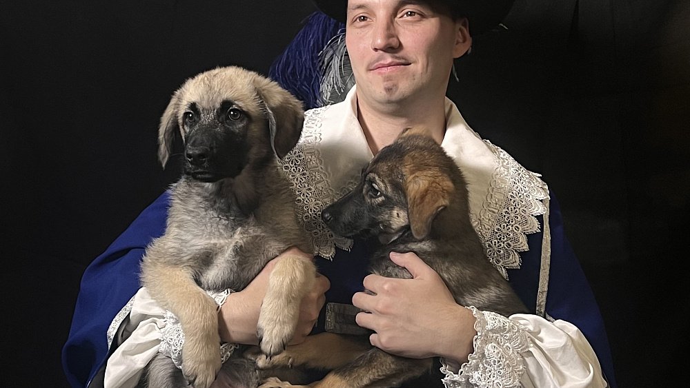 В Челябинске стартовал арт‑проект с бездомными животными