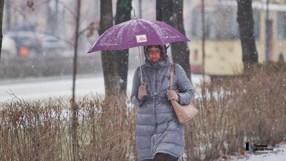 Снег с дождем и туманы ожидаются в Челябинской области