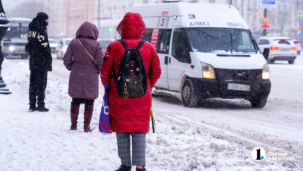 Снегопады, гололед и порывистый ветер прогнозируют в Челябинской области