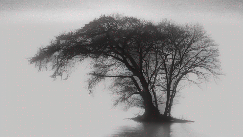 В Челябинской области полиция нашла школьницу, заблудившуюся в тумане