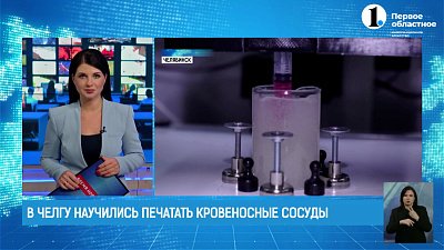 В ЧелГУ научились печатать кровеносные сосуды
