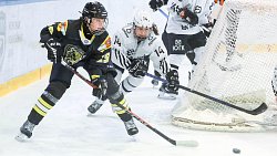 Команда «Белые медведицы» завершила первый круг чемпионата ЖХЛ на пятом месте