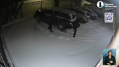 В Челябинске полицейские задержали воришек