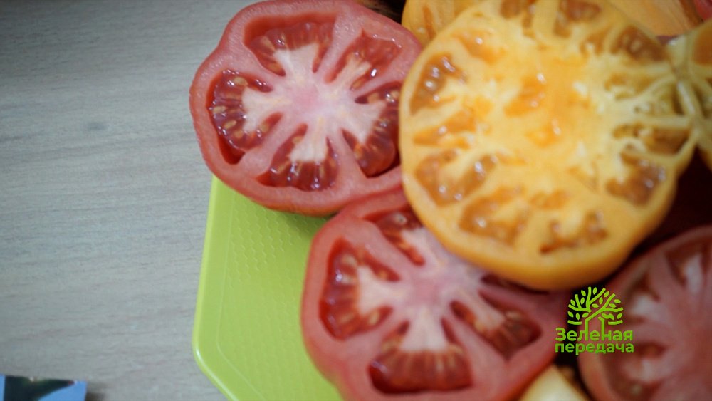 В программе «Зеленая передача» рассказали о самых популярных сортах томатов