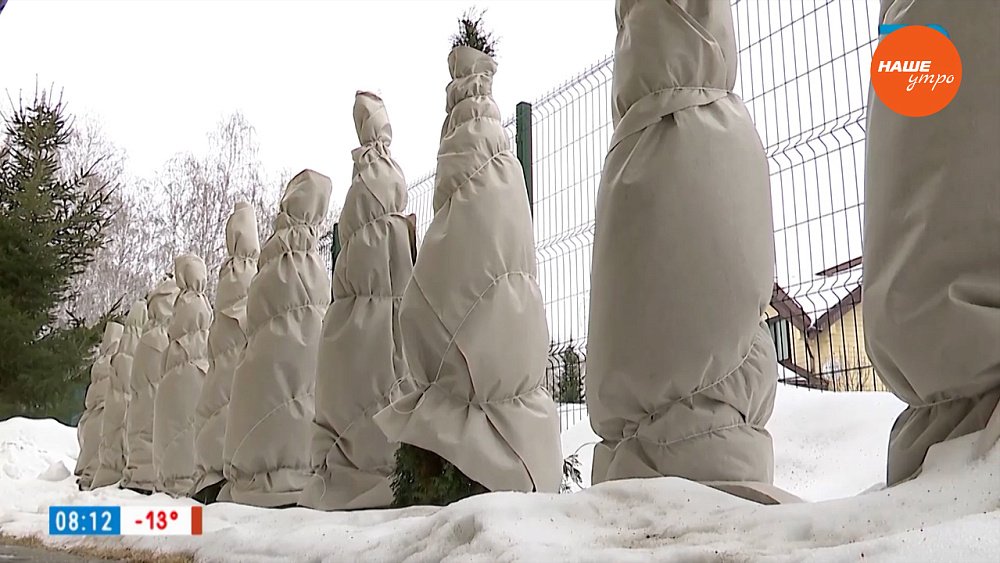 Оперативные работы в саду в декабре – в рубрике «Руки садовода»