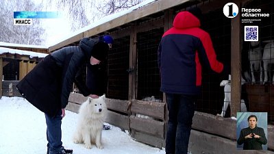 Какие вопросы удалось решить Алексею Текслеру во время проведения «Прямых линий» прошлых лет?
