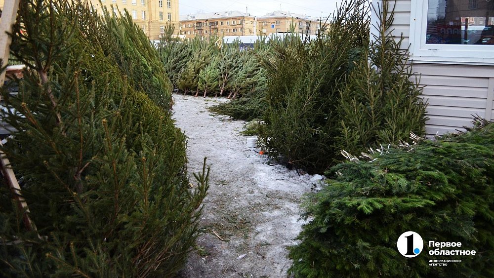 Подготовка к открытию елочных базаров началась в Челябинске