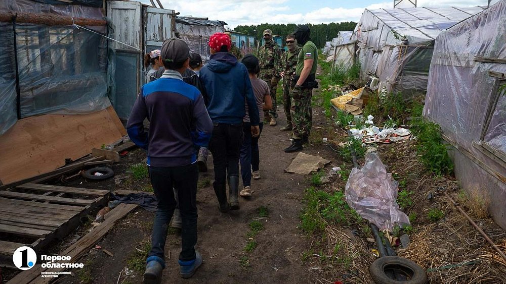 В Челябинской области за год количество мигрантов сократилось на 20%