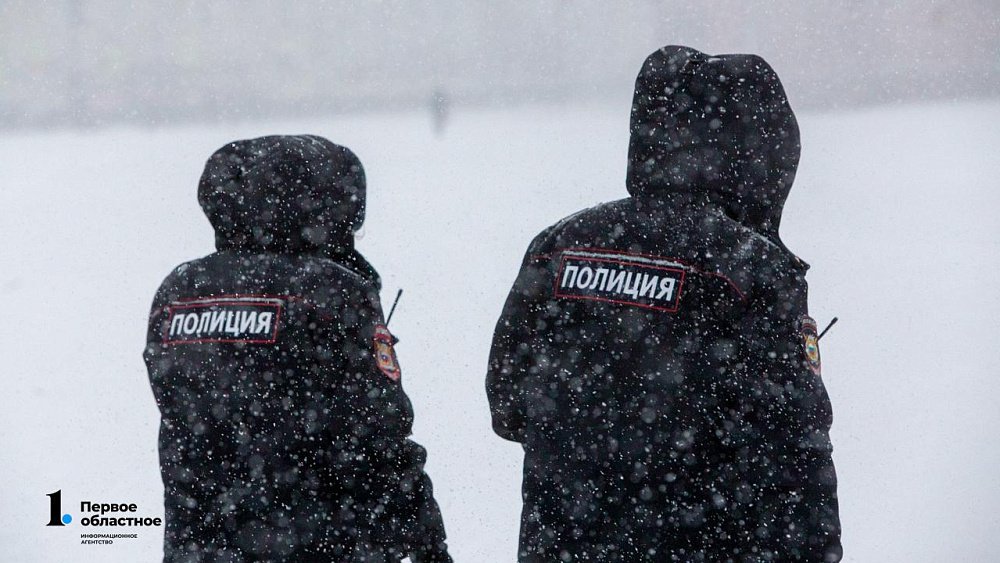 Полиция предупредила южноуральцев о «новогодней» схеме мошенничества