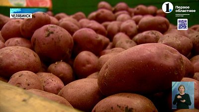 В Челябинской области вырос индекс оливье