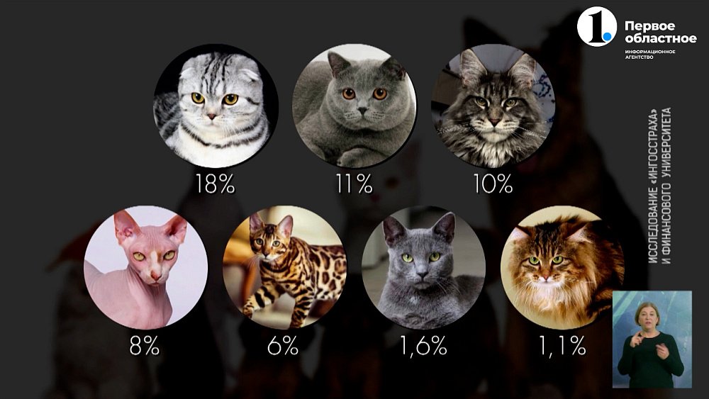 Каких питомцев предпочитают заводить россияне?