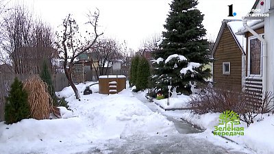 Работы садоводов в декабре